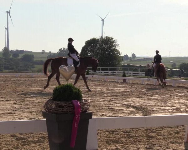 Reitturnier Brilon 2018