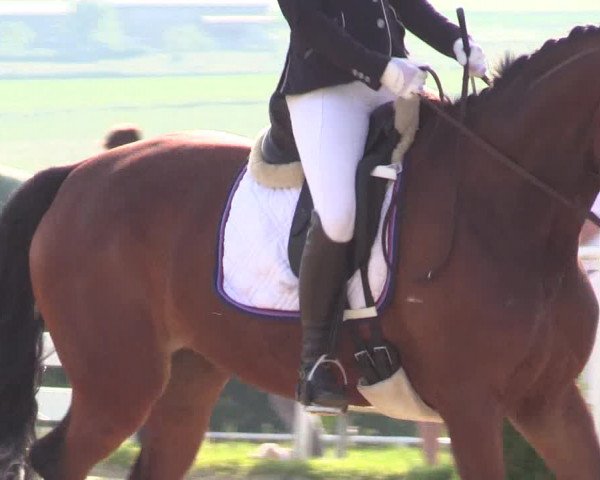 Reitturnier Brilon 2018
