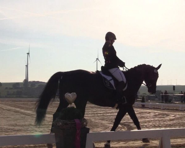 Reitturnier Brilon 2018