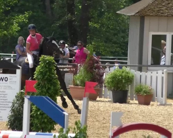 Reitturnier Bad Schussenried 2018