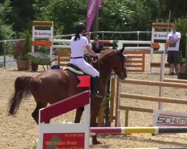 Reitturnier Bad Schussenried 2018