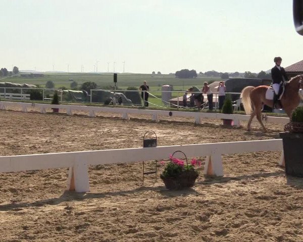 Reitturnier Brilon 2018