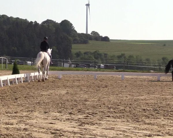 Reitturnier Brilon 2018