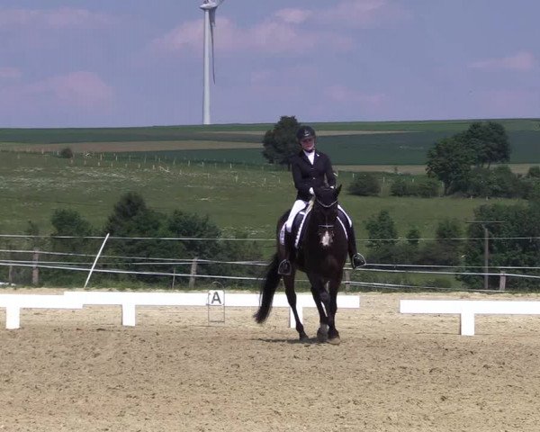 Reitturnier Brilon 2018