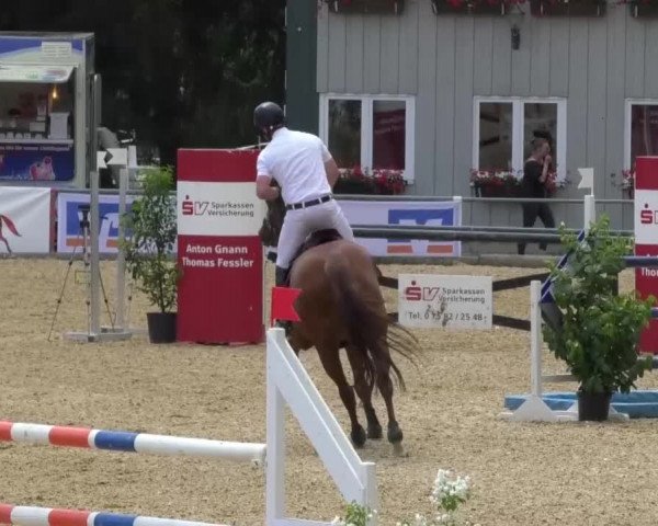 Reitturnier Bad Schussenried 2018