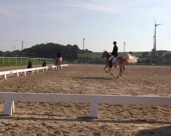 Reitturnier Brilon 2018