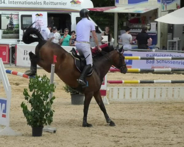 Reitturnier Bad Schussenried 2018