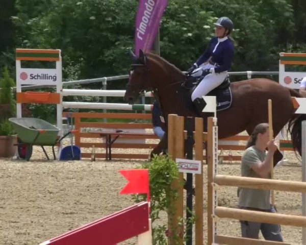 Reitturnier Bad Schussenried 2018