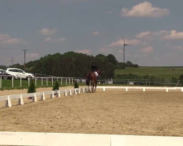 Reitturnier Brilon 2018