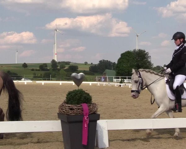 Reitturnier Brilon 2018