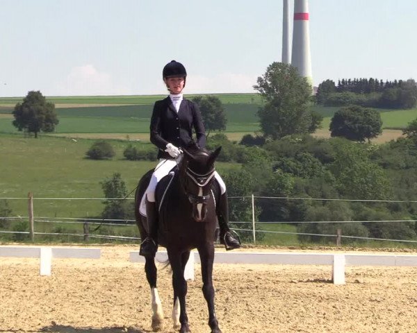 Reitturnier Brilon 2018
