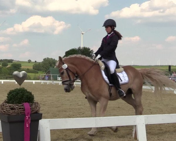 Reitturnier Brilon 2018