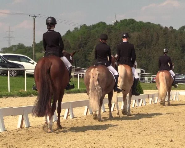 Reitturnier Brilon 2018
