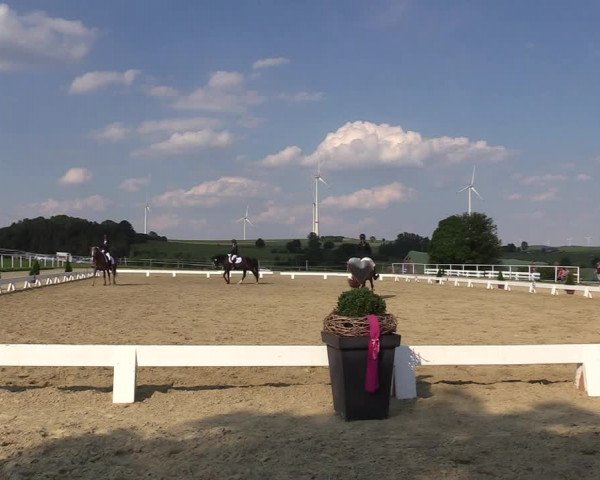 Reitturnier Brilon 2018