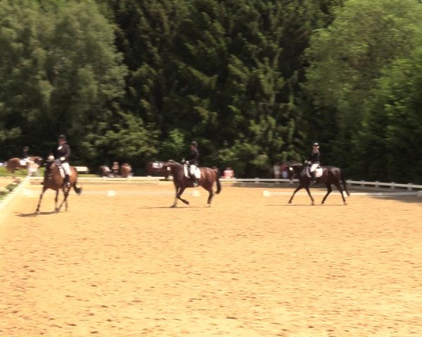 Reitturnier Halver 2018