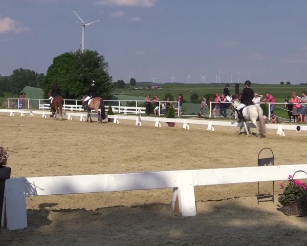 Reitturnier Brilon 2018