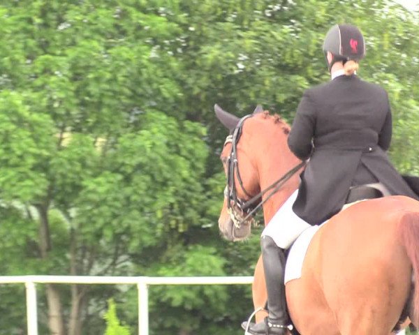 Reitturnier Brilon 2018