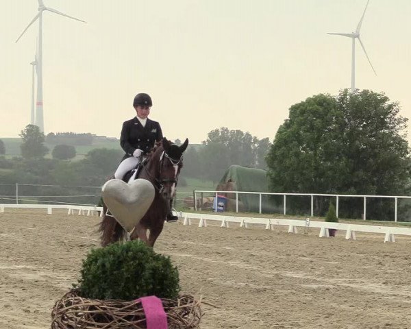 Reitturnier Brilon 2018