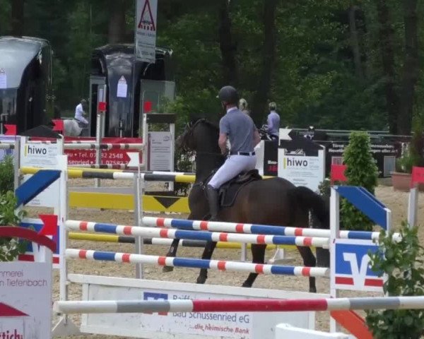 Reitturnier Bad Schussenried 2018