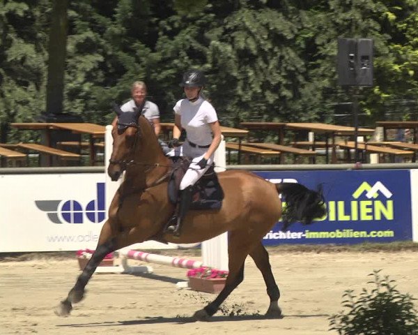 Reitturnier Viernheim 2018
