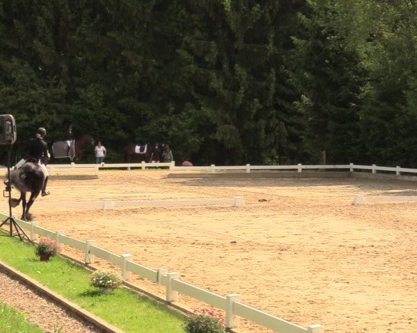 Reitturnier Halver 2018