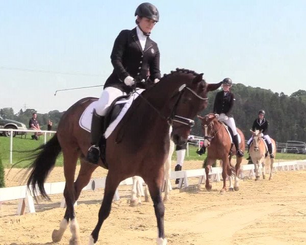 Reitturnier Brilon 2018