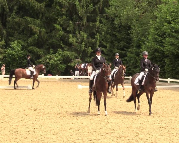 Reitturnier Halver 2018