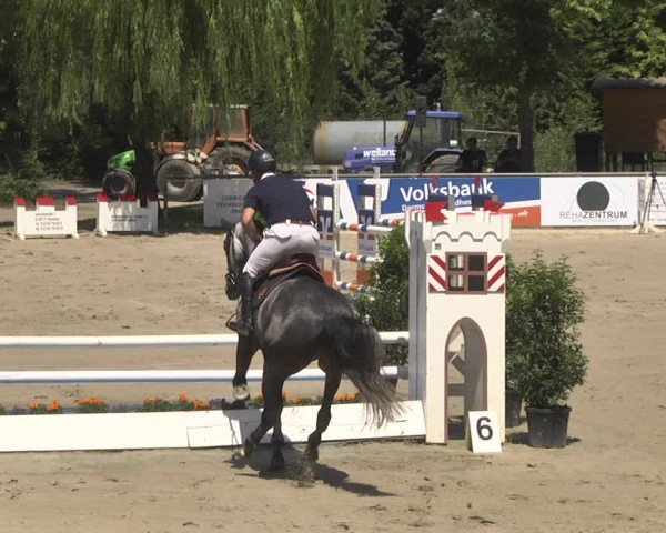 Reitturnier Viernheim 2018