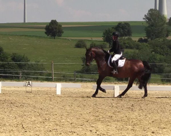 Reitturnier Brilon 2018