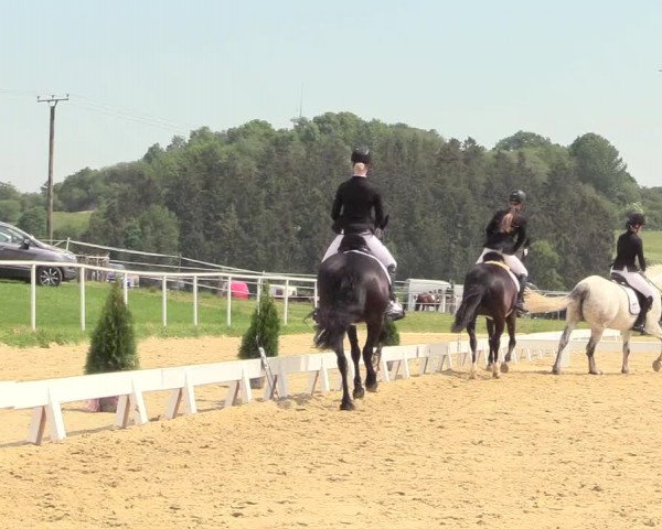 Reitturnier Brilon 2018