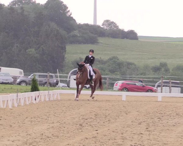 Reitturnier Brilon 2018