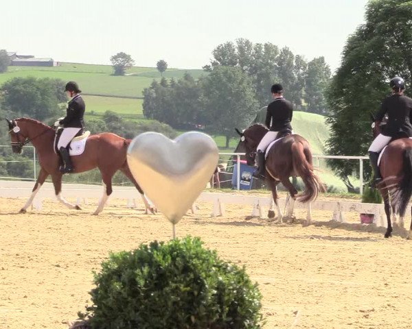 Reitturnier Brilon 2018