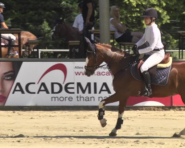 Reitturnier Viernheim 2018