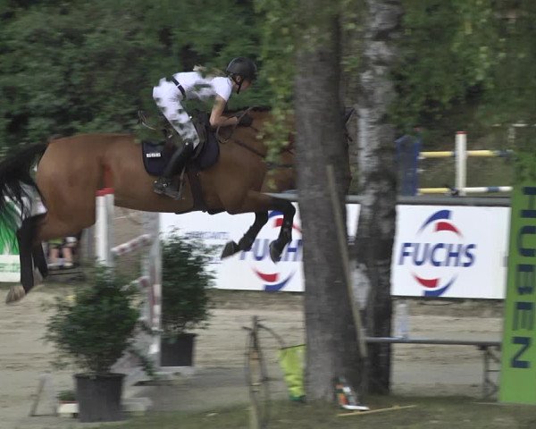 Reitturnier Viernheim 2018