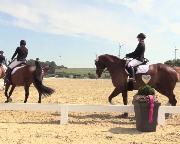 Reitturnier Brilon 2018