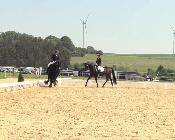 Reitturnier Brilon 2018