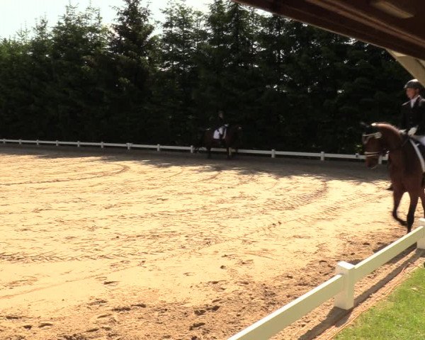 Reitturnier Halver 2018