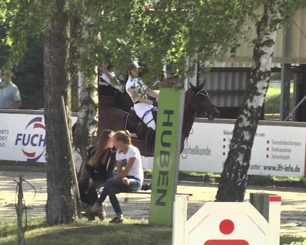 Reitturnier Viernheim 2018