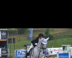 dressage horse Amira Deluxe (Belgian Warmblood, 2008)