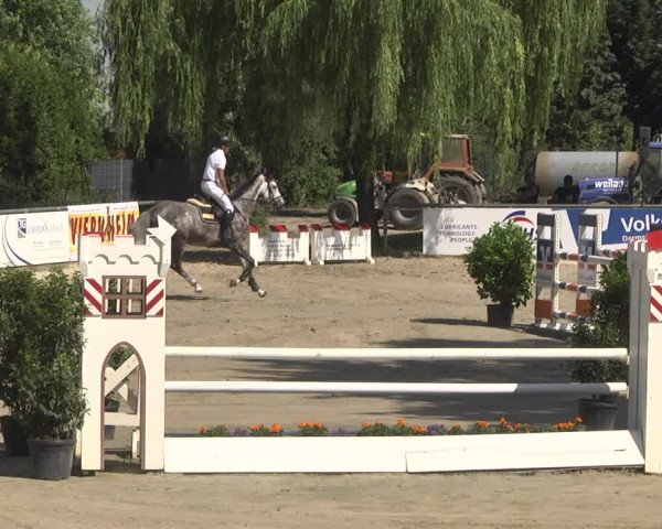Reitturnier Viernheim 2018