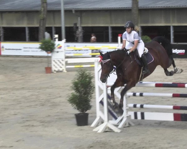 Reitturnier Viernheim 2018