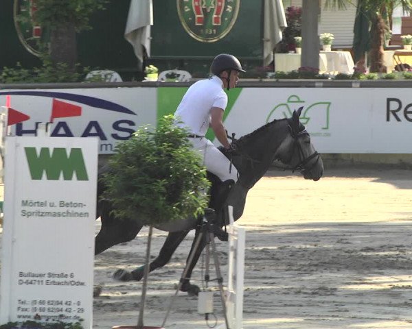 Reitturnier Viernheim 2018