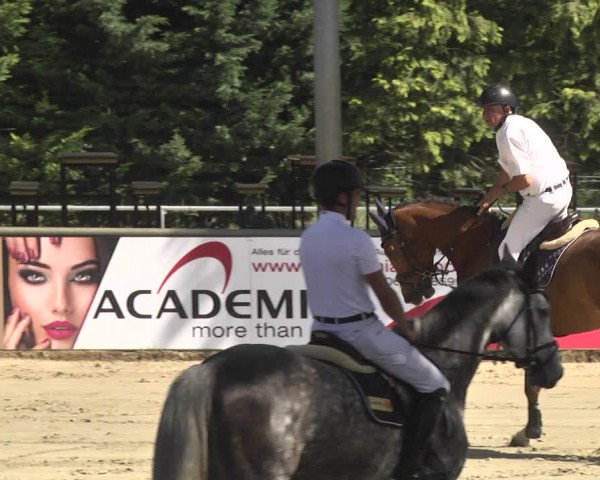 Reitturnier Viernheim 2018