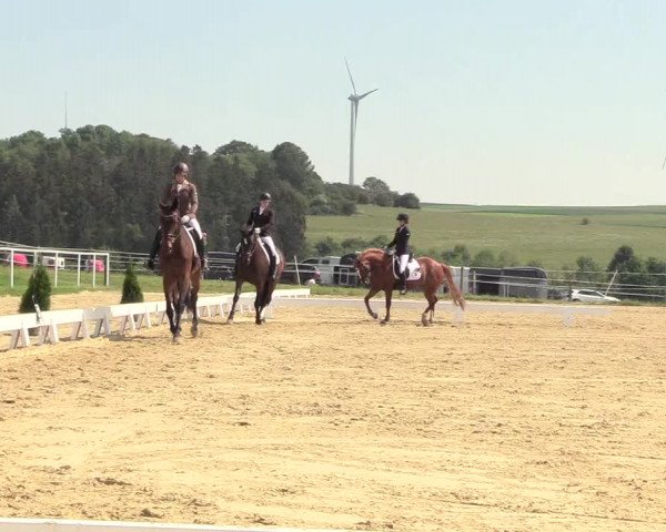 Reitturnier Brilon 2018