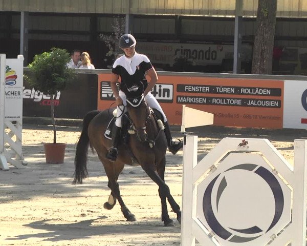 Reitturnier Viernheim 2018