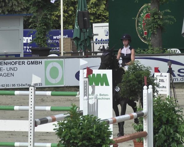 Reitturnier Viernheim 2018