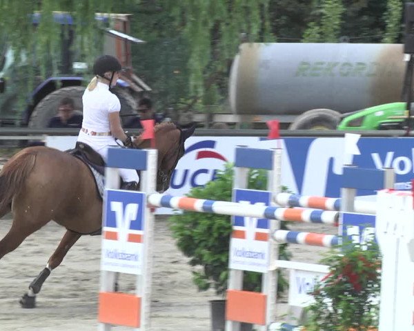 Reitturnier Viernheim 2018