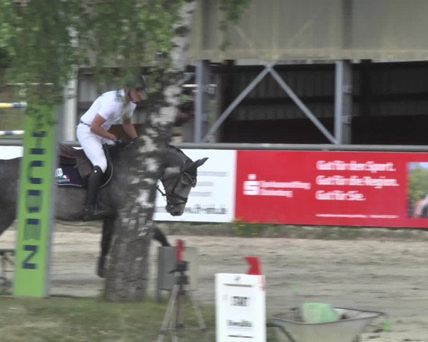 Reitturnier Viernheim 2018