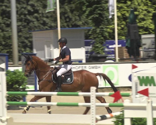 Reitturnier Viernheim 2018