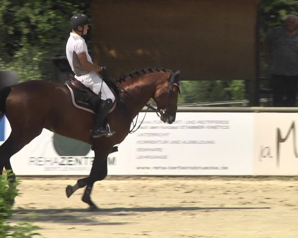 Reitturnier Viernheim 2018